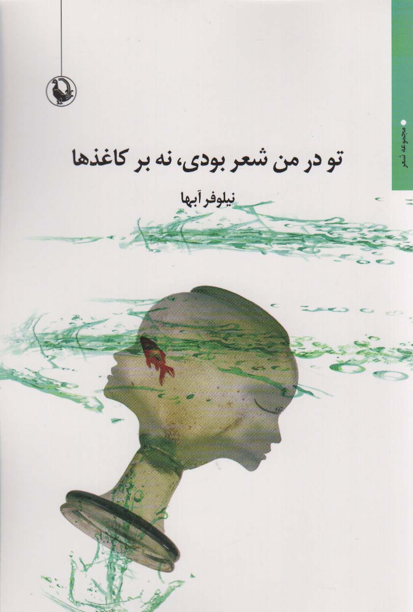 پایانه - تو در من شعر بودی،نه بر کاغذ ها