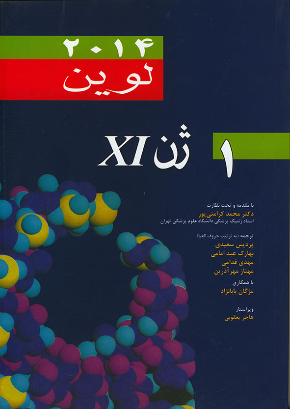 پایانه - ژن XI