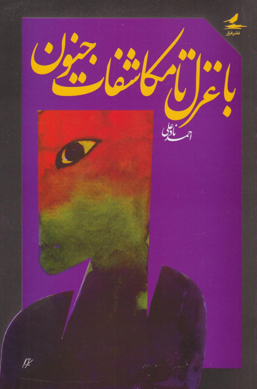 پایانه - با غزل تا مکاشفات جنون