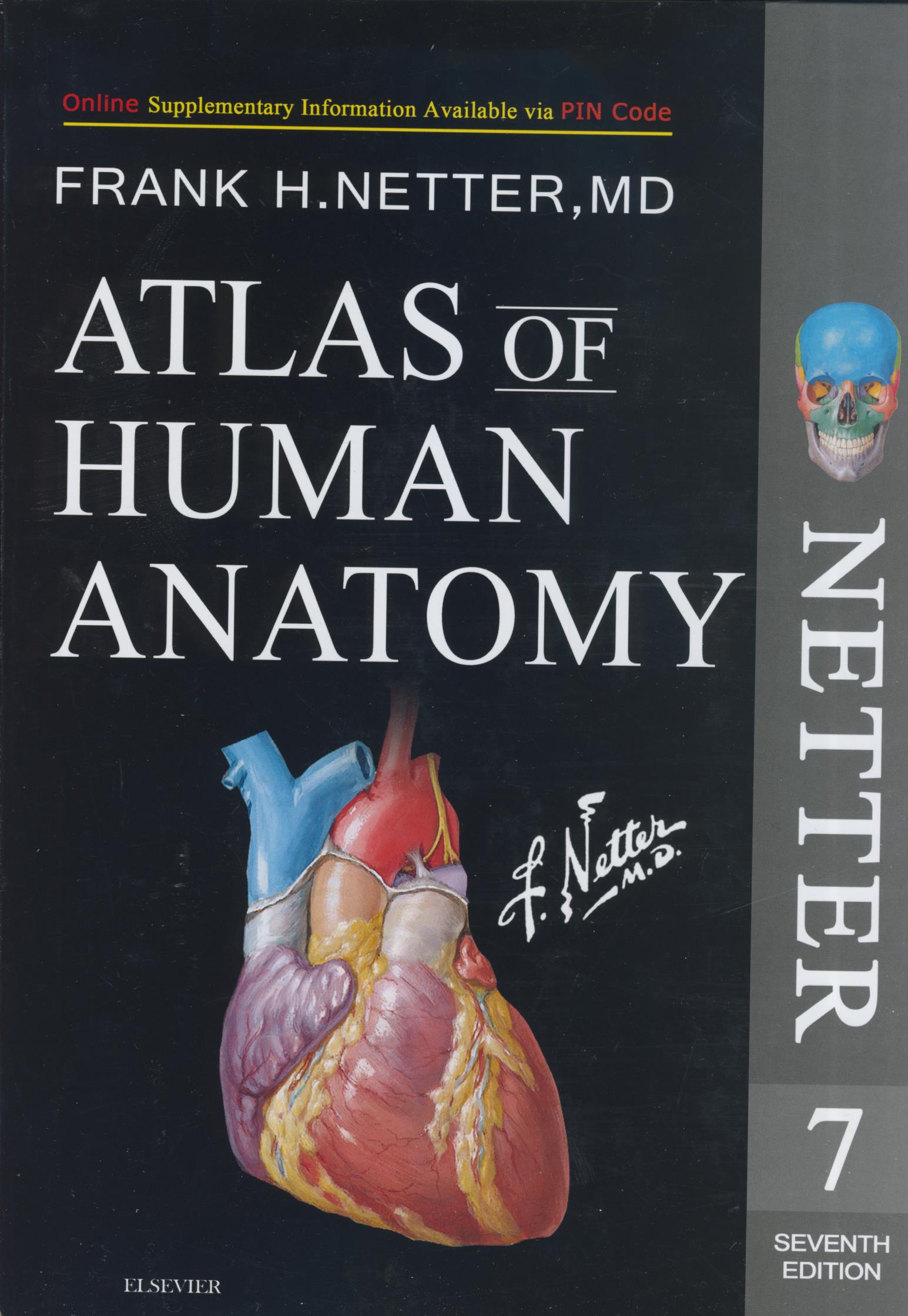 پایانه - Netter Atlas of Human Anatomy