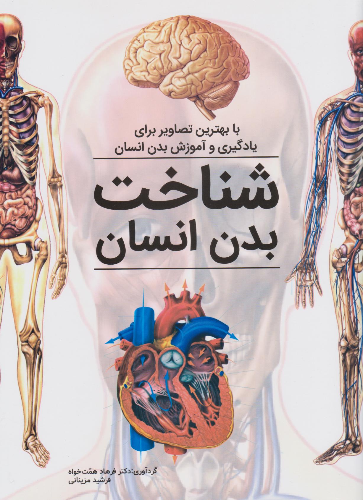 پایانه - شناخت بدن انسان