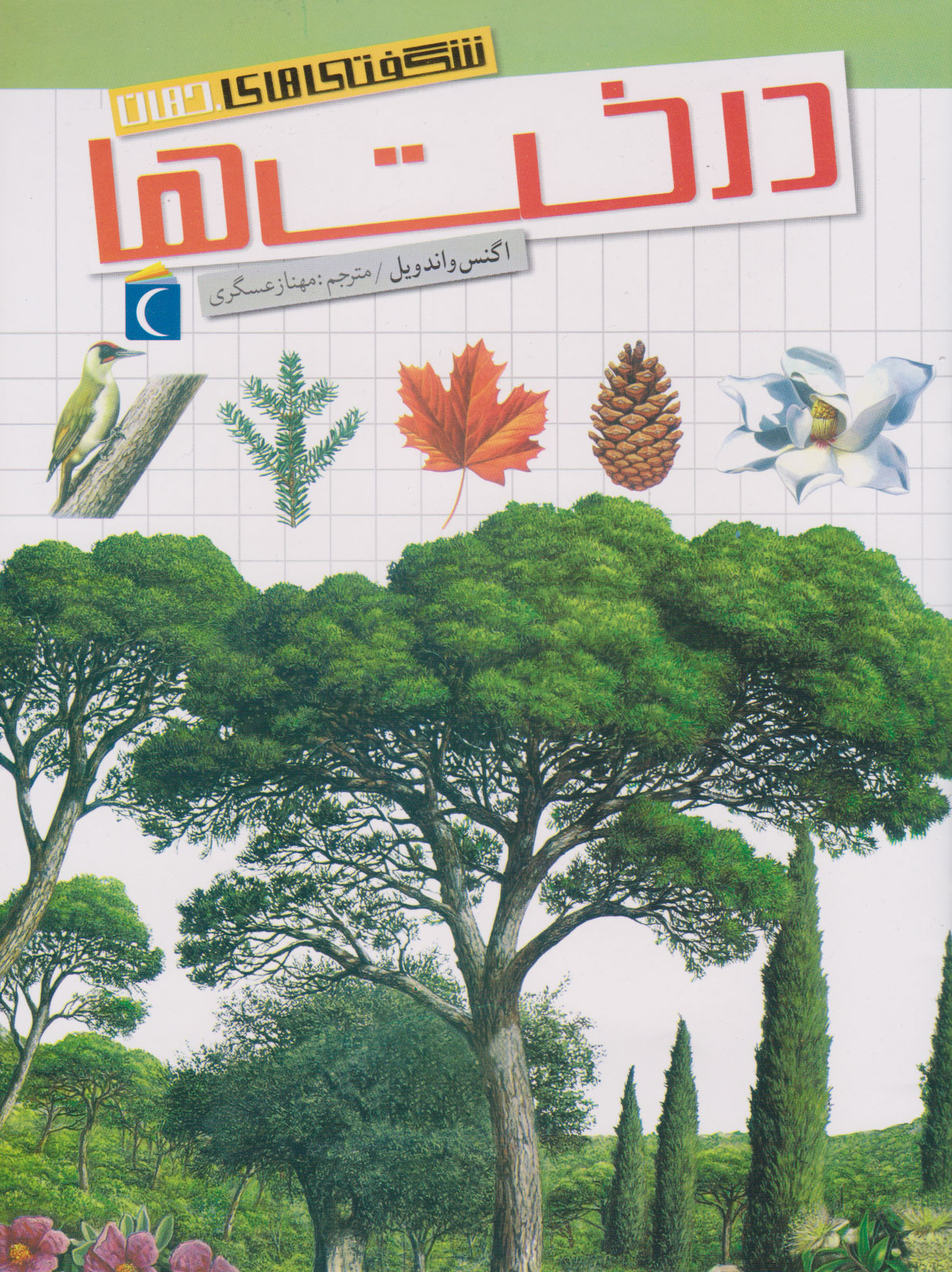 پایانه - درخت ها