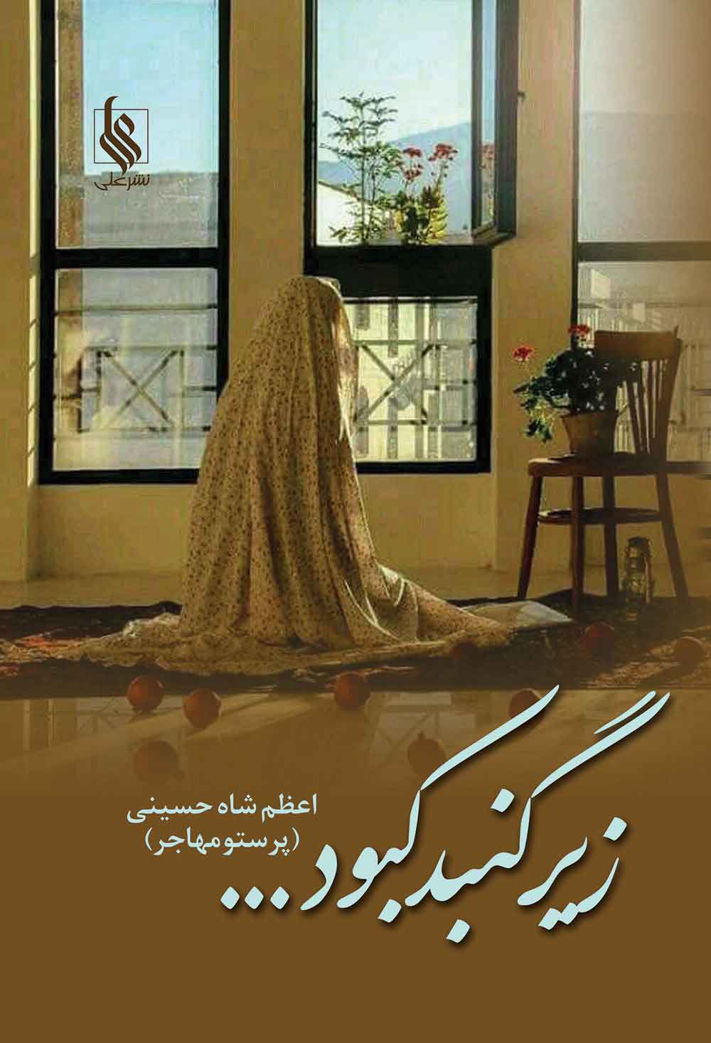 پایانه - زیر گنبد کبود