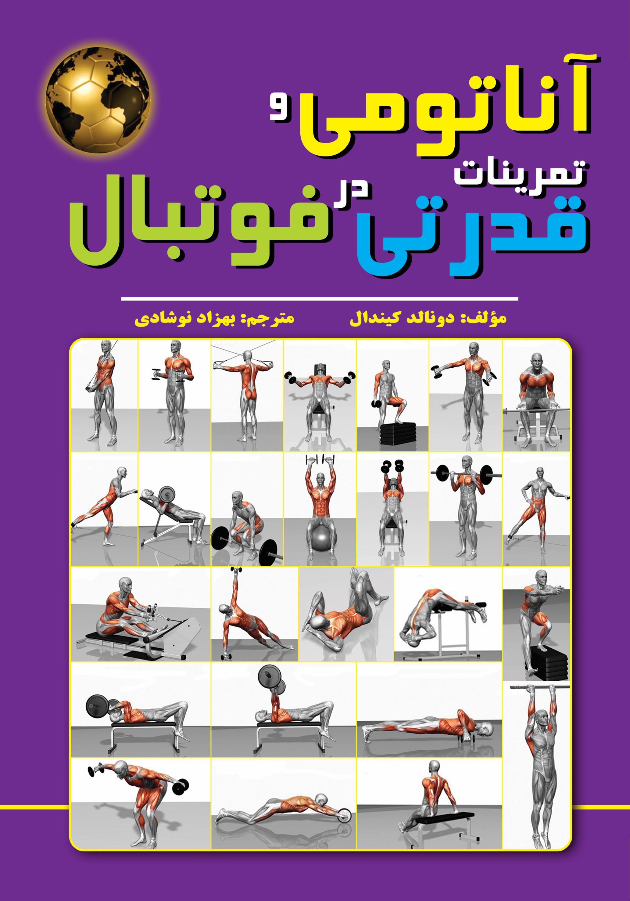 پایانه - آناتومی و تمرینات قدرتی در فوتبال