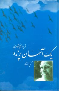 پایانه - یک آسمان پرنده