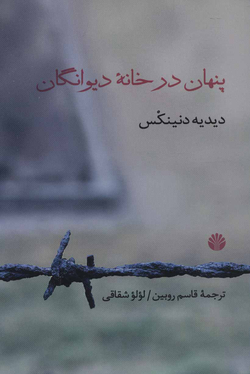 پایانه - پنهان در خانه دیوانگان