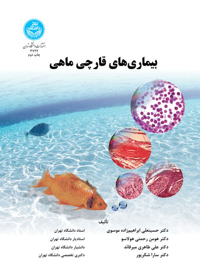 پایانه - بیماری های قارچی ماهی