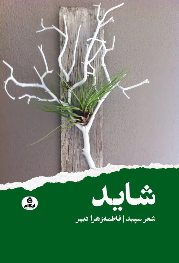 پایانه - شاید