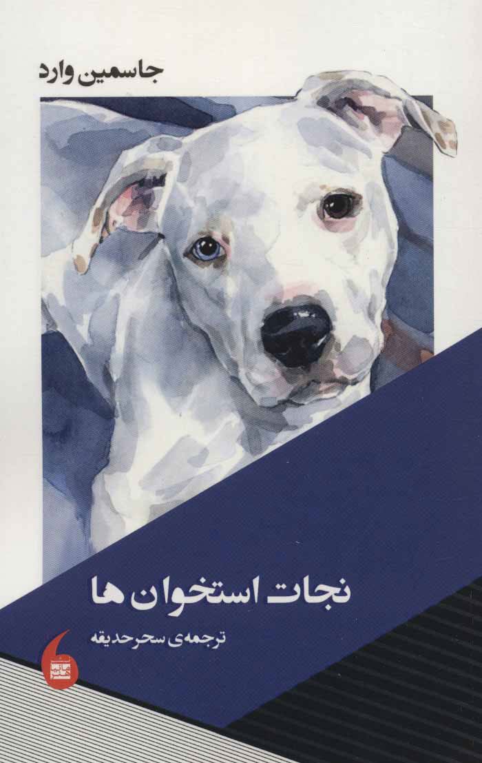 پایانه - نجات استخوان ها