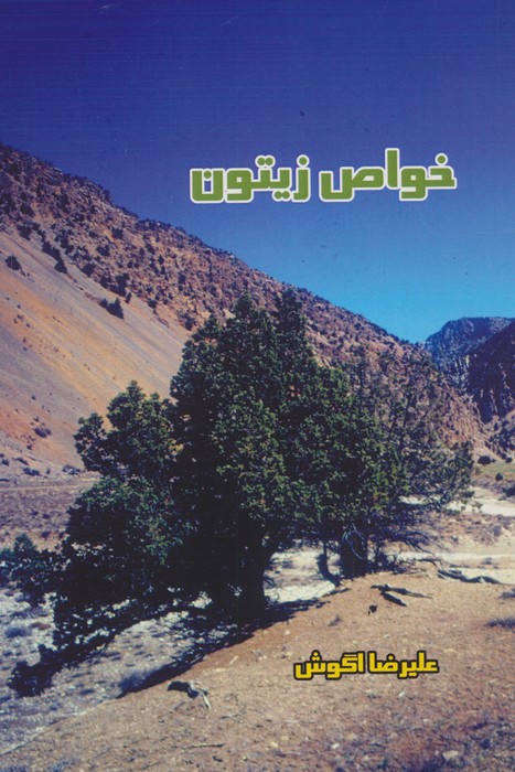 پایانه - خواص زیتون