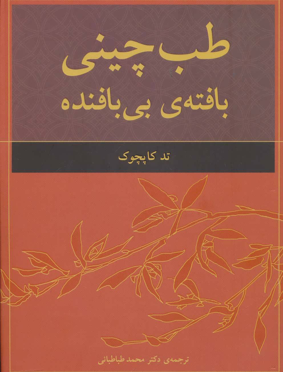 پایانه - طب چینی