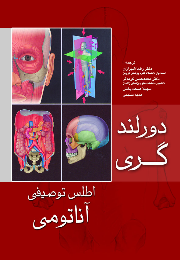 پایانه - اطلس توصیفی آناتومی دورلند _گری
