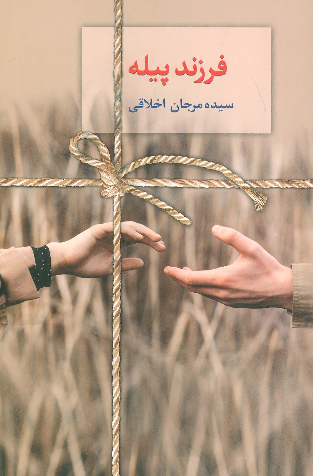 پایانه - فرزند پیله