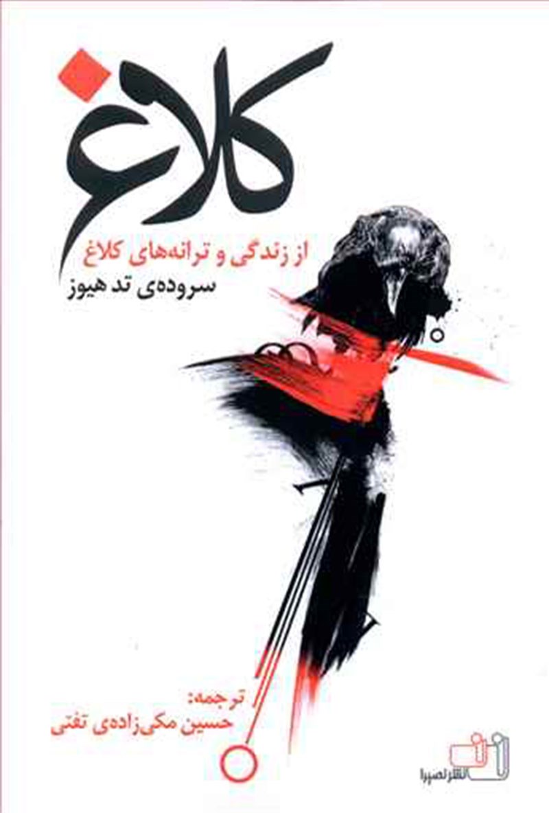 پایانه - کلاغ