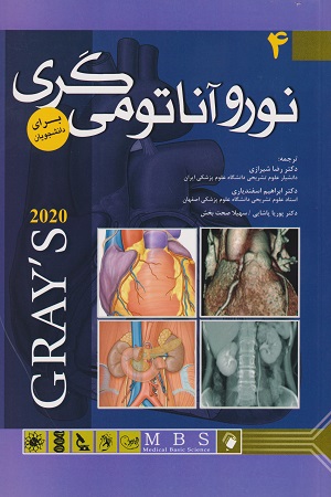 پایانه - نوروآناتومی