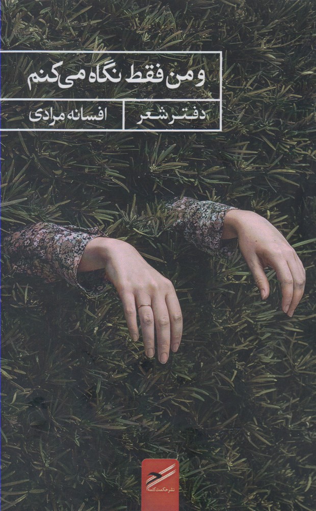 پایانه - و من فقط نگاه می کنم