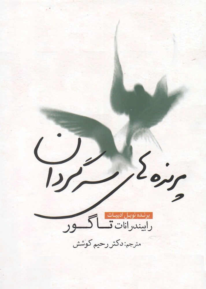 پایانه - پرنده های سرگردان