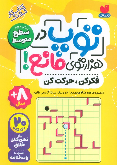 پایانه - توپ در هزار توی مانع!