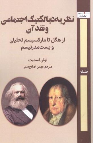 پایانه - نظریه دیالکتیک اجتماعی و نقد آن