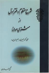پایانه - شرح منظوم دفتر اول از مثنوی مولانا