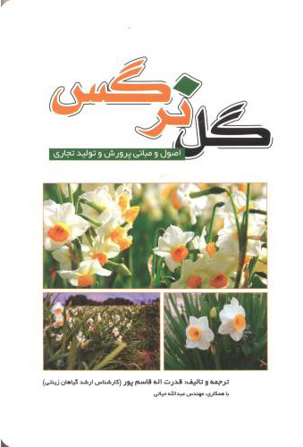 پایانه - گل نرگس