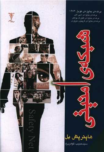 پایانه - شبکه امنیتی