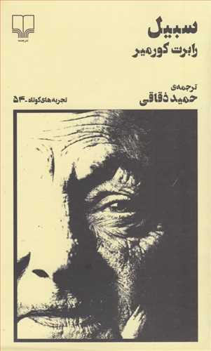 پایانه - سبیل