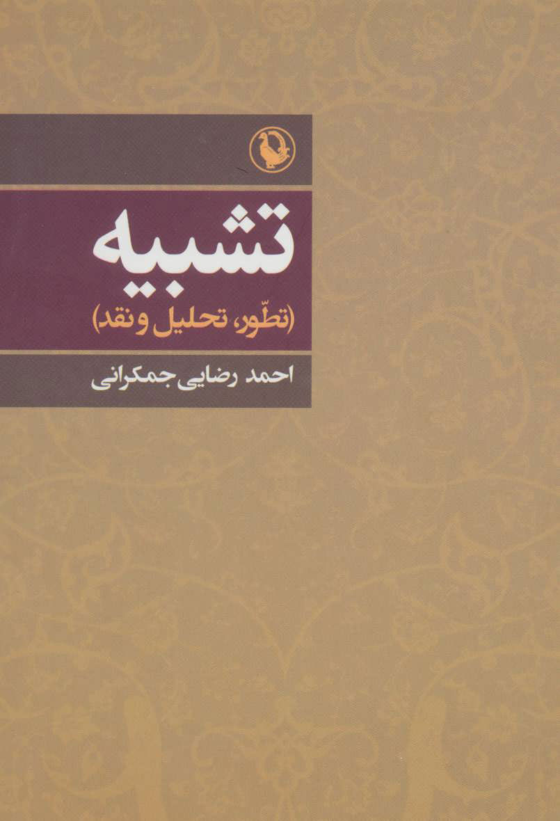 پایانه - تشبیه