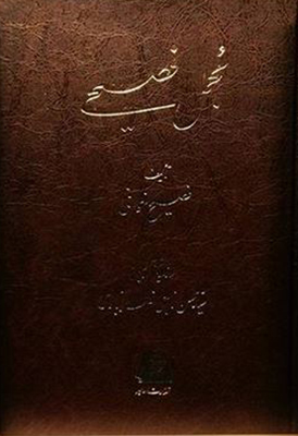 پایانه - مجمل فصیحی (3 جلدی)