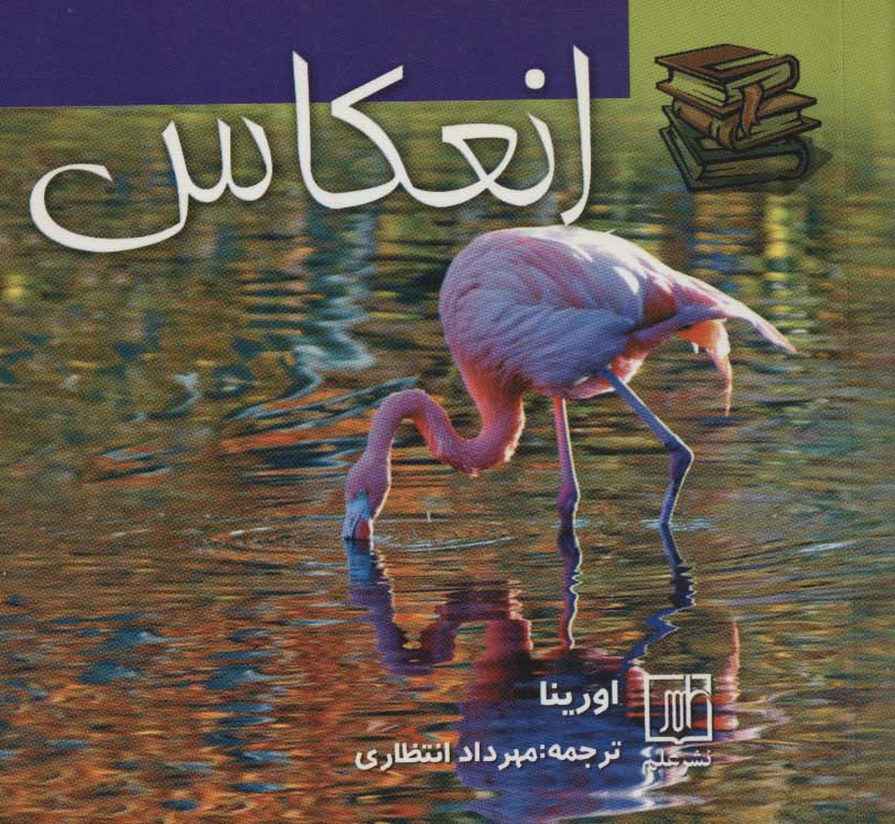 پایانه - انعکاس