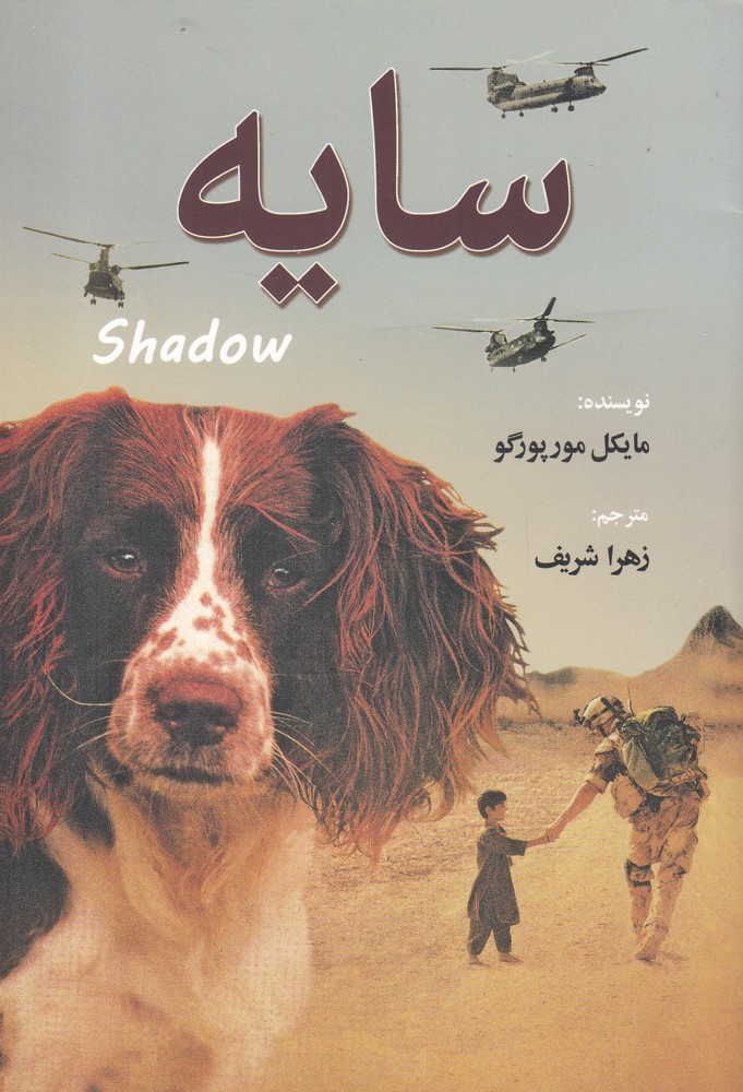 پایانه - سایه