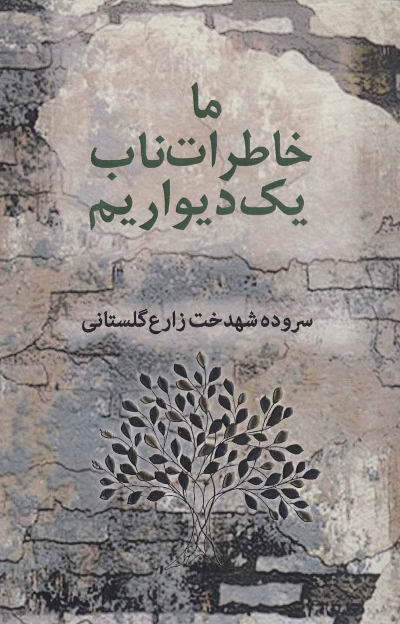 پایانه - ما خاطرات ناب یک دیواریم