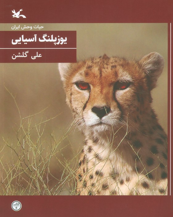 پایانه - یوزپلنگ آسیایی