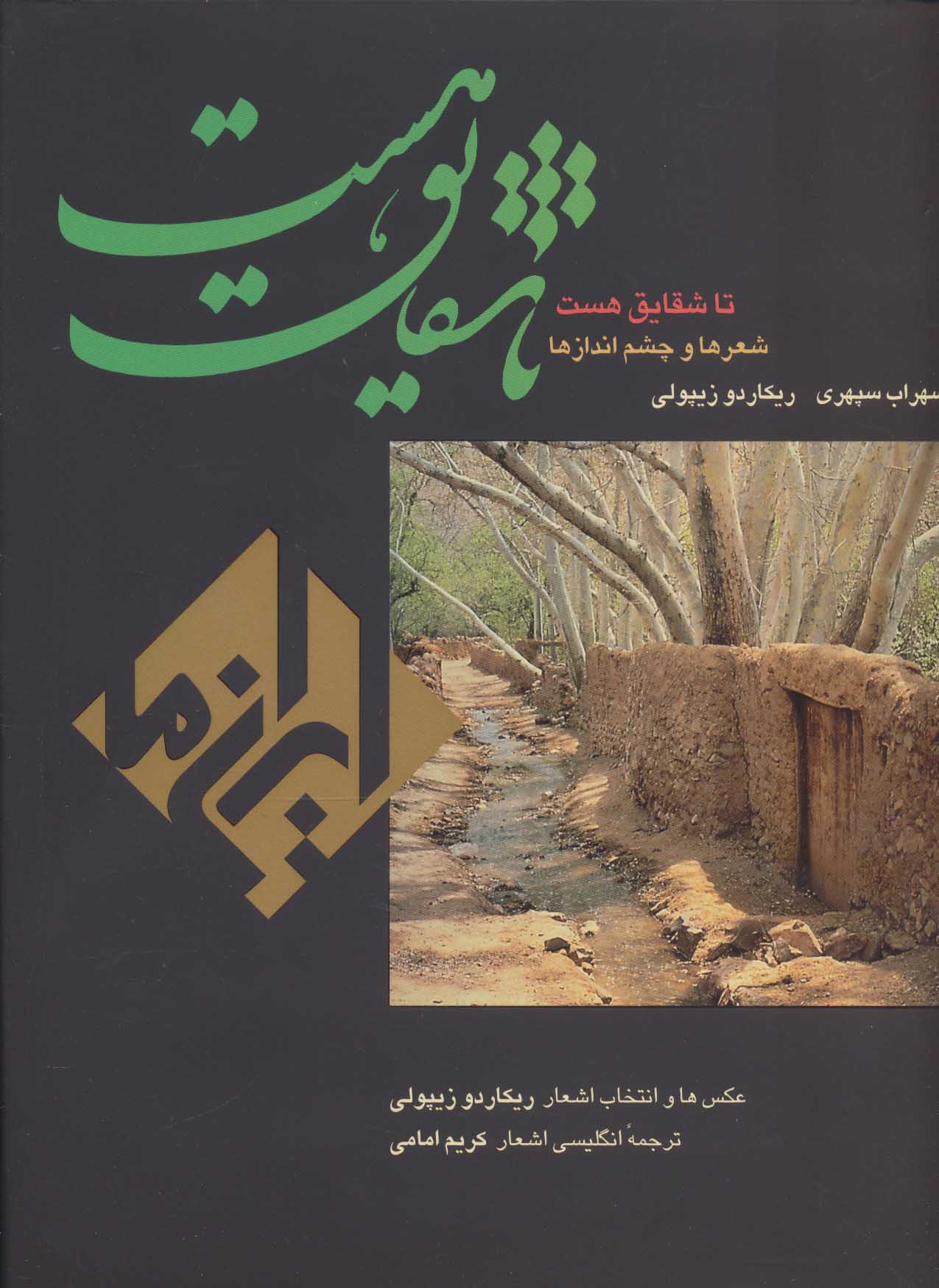 پایانه - تا شقایق هست