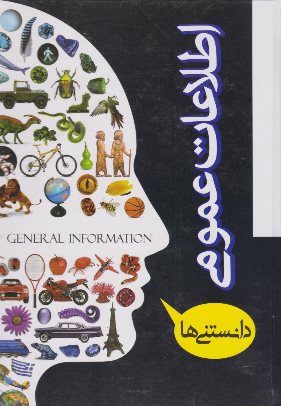 پایانه - اطلاعات عمومی