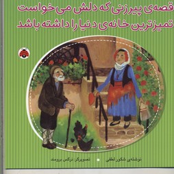 پایانه - قصه پیرزنی که دلش می خواست تمیزترین خانه دنیا را داشته باشد