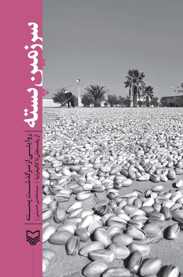 پایانه - سرزمین پسته