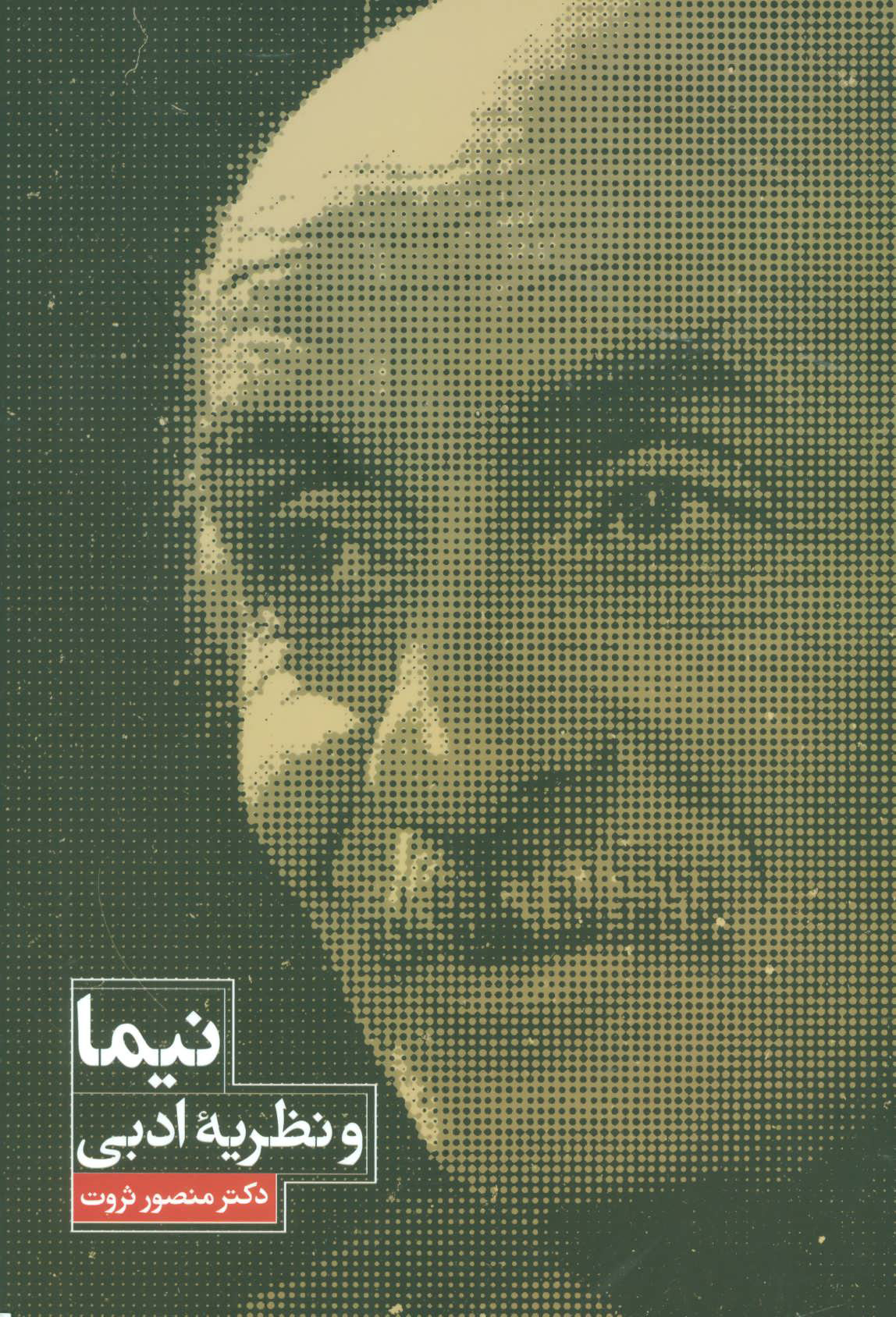 پایانه - نیما و نظریه ادبی