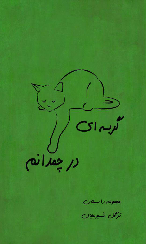 پایانه - گربه ای در چمدانم