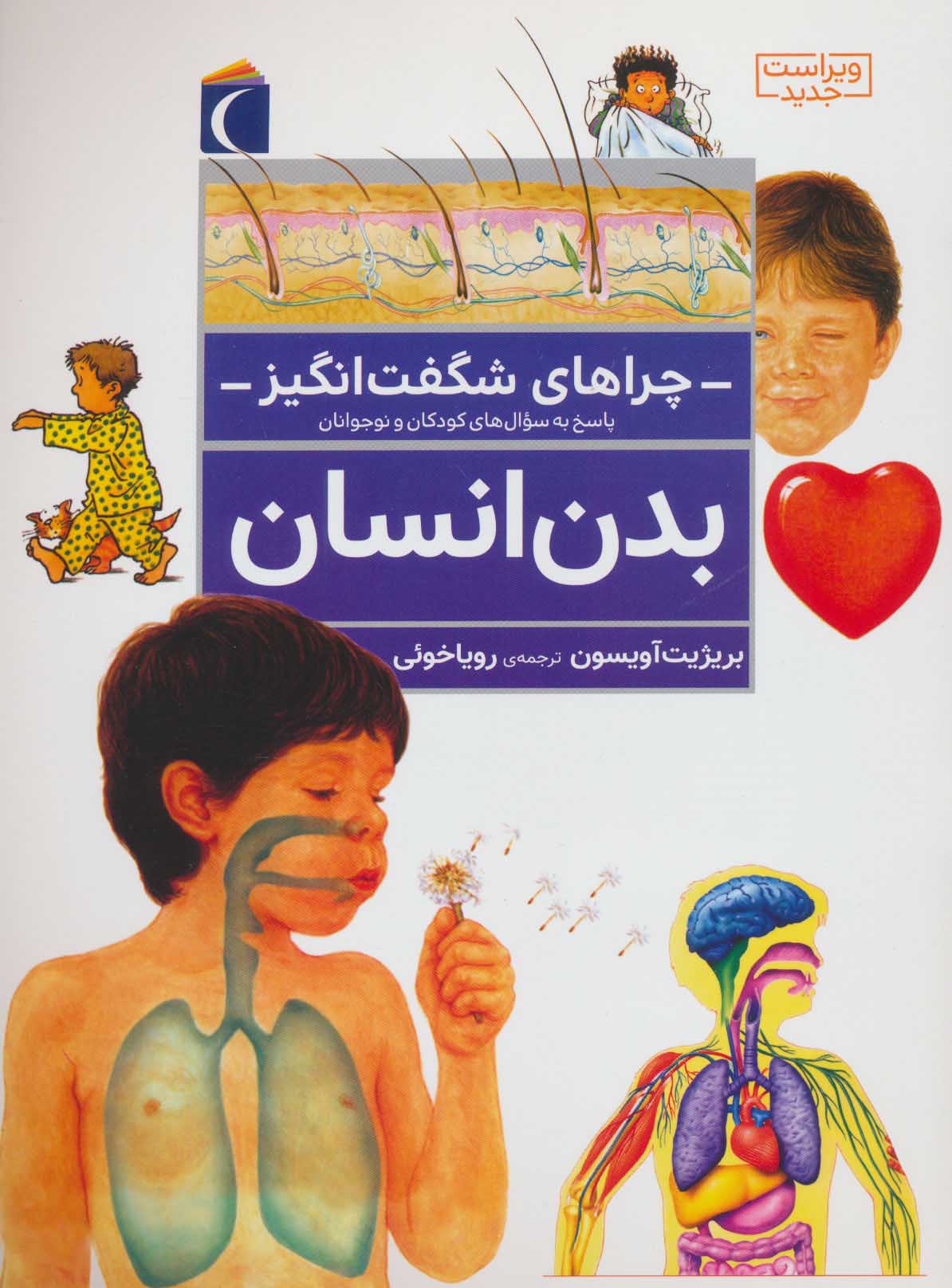 پایانه - بدن انسان