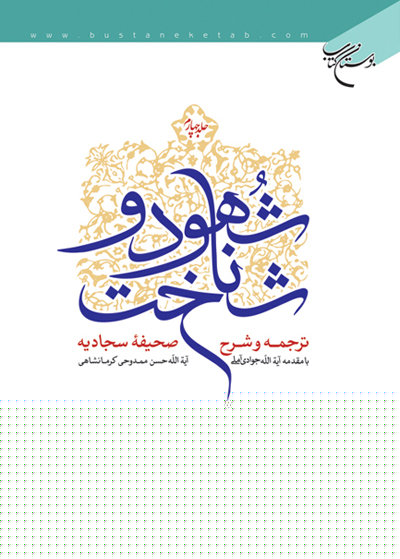 پایانه - شهود و شناخت