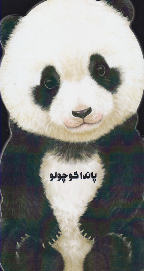 پایانه - پاندا کوچولو