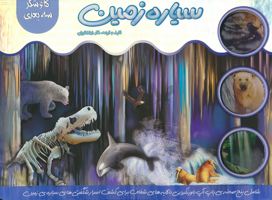 پایانه - سیاره زمین