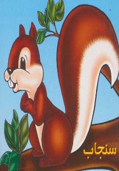 پایانه - سنجاب