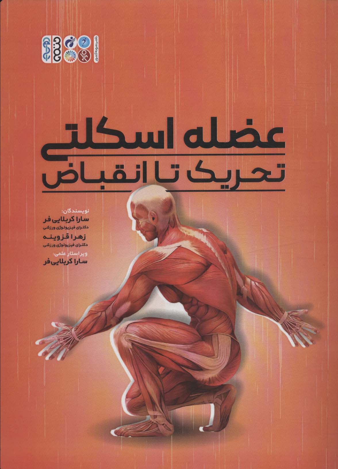 پایانه - عضله اسکلتی تحریک تا انقباض