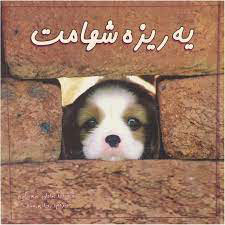 پایانه - یه ریزه شهامت