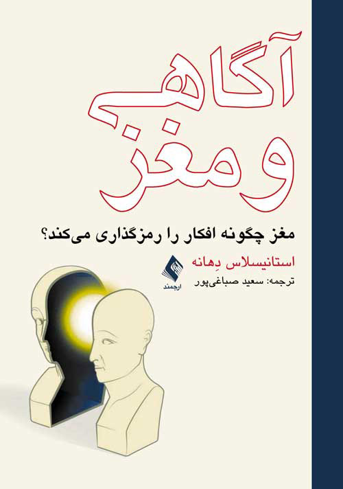 پایانه - آگاهی و مغز