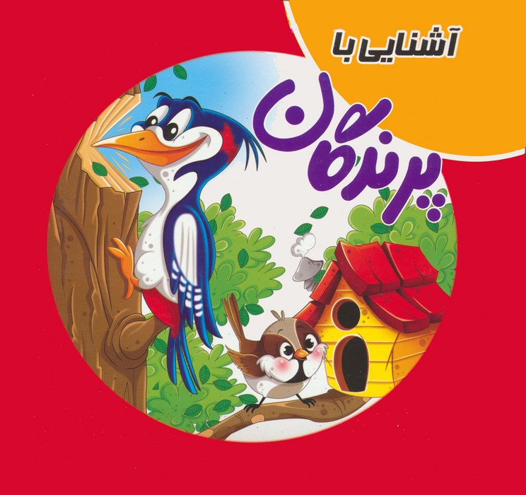 پایانه - آشنایی با پرندگان