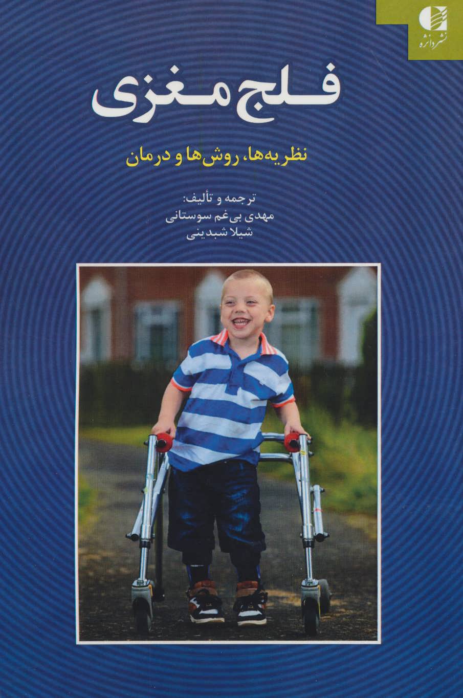 پایانه - فلج مغزی