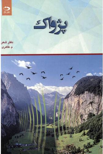 پایانه - پژواک